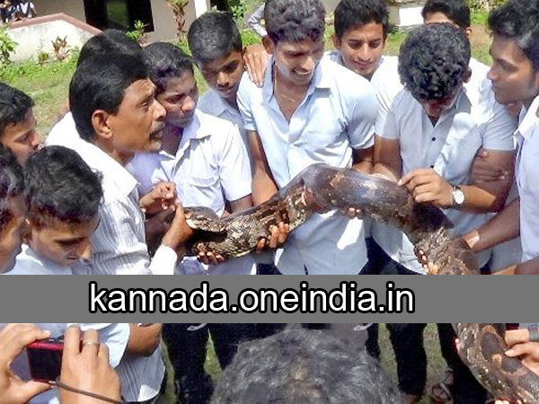ಹೆಬ್ಬಾವು ಹಿಡಿದ ವಿದ್ಯಾರ್ಥಿಗಳು