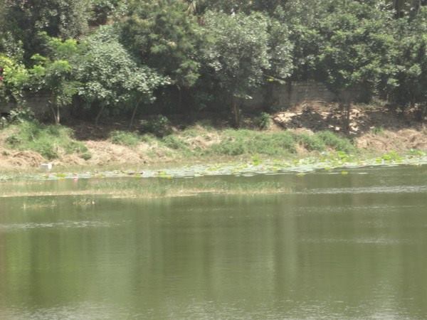 ಕೆರೆಗಳ ಅಭಿವೃದ್ಧಿ ತಕ್ಕಮಟ್ಟಿಗೆ ಆಗಿದೆ
