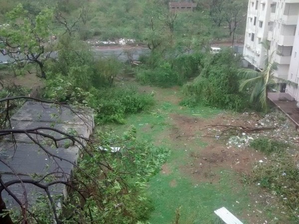 ಬಿರುಗಾಳಿ ಹೊಡೆತ