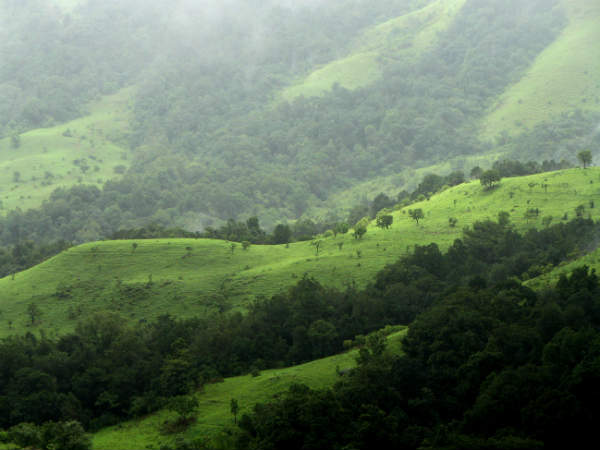 44,44 ಚದರ ಕಿ.ಮೀ. ಪಶ್ಚಿಮ ಘಟ್ಟ ವ್ಯಾಪಿಸಿಕೊಂಡಿದೆ.