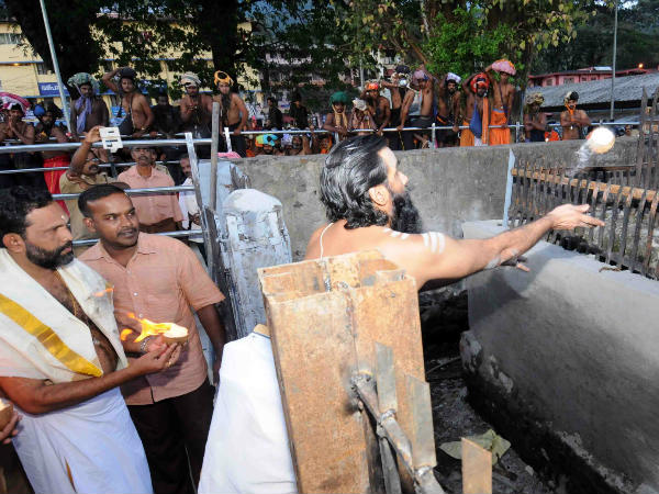 ಲಕ್ಷಾಂತರ ಭಕ್ತರು ಶಬರಿಮಲೆಗೆ ಭೇಟಿ
