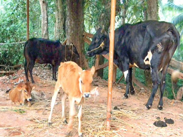 ರಾತ್ರಿ ಹತ್ತರ ನಂತರ ಬಿಡುವು