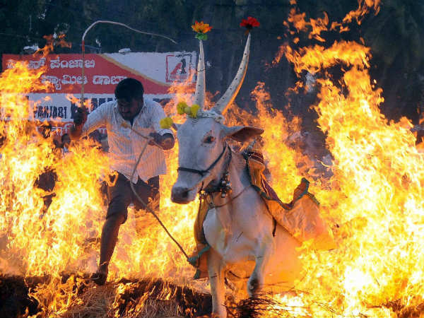 ವಿದೇಶದಲ್ಲಿ ಸಂಕ್ರಾಂತಿಗೆ ಏನೆಂದು ಹೆಸರಿದೆ?