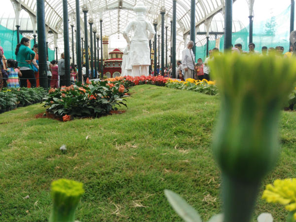 ಮನೆಯ ಸೌಂದರ್ಯ ಹೆಚ್ಚಿಸಬೇಕೆ?