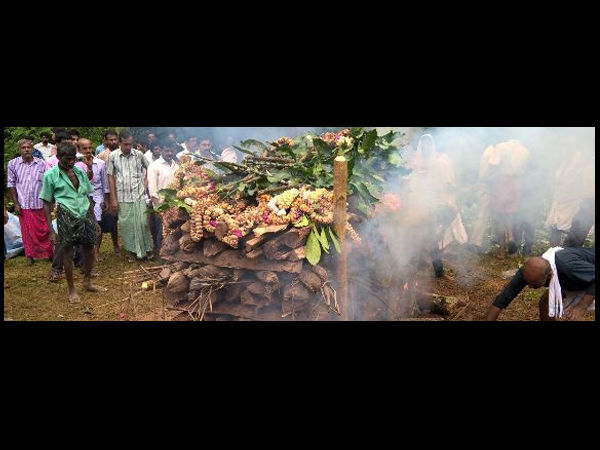 ತುಳುವಪ್ಪೆಯ ಮಗ,