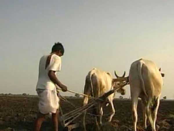 ಅನ್ನದಾತರ ಸಾವು ನಿಮಗೆ ಲೆಕ್ಕಕ್ಕಿಲ್ಲವೇ?