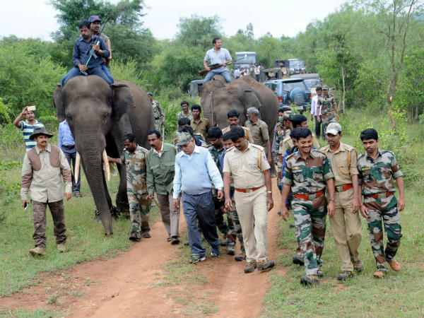 ಆನೆಗಳನ್ನು ಕರೆತರಲಾಗಿತ್ತು