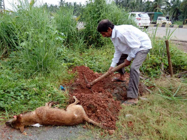 ಉದಯಗಟ್ಟಿಯವರ ಮನದ ಇಂಗಿತವೇನು?
