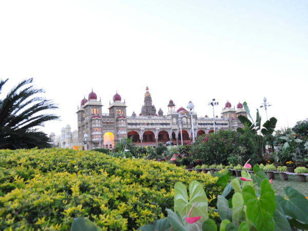 ಹೂಗಳು ಎಲ್ಲೆಲ್ಲಿಂದ ಬಂದಿವೆ?