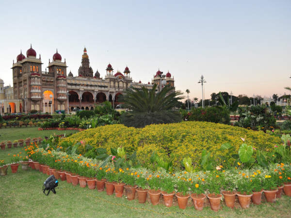 ಹೂಗಳನ್ನು ಹೊರತುಪಡಿಸಿ ಮತ್ತೇನಿದೆ?