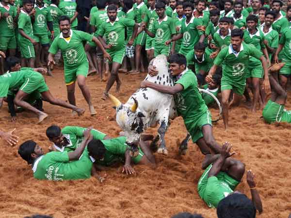 ಅಸೆಂಬ್ಲಿ ಚುನಾವಣೆ ತಂತ್ರಗಾರಿಕೆಯೇ?