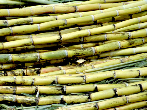 ಬೆಲ್ಲದಲ್ಲಿ ಏನೆಲ್ಲಾ ಅಂಶಗಳಿವೆ.