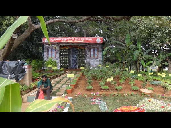 ತಾರಸಿ ಕೈ ತೋಟ?