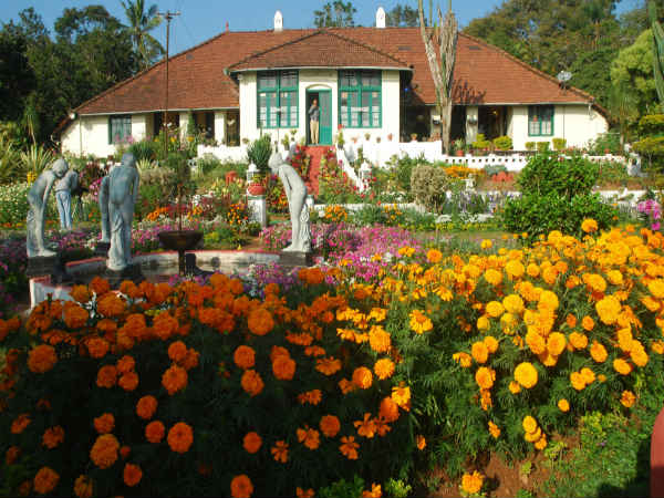 ಮನೆಯ ಸೌಂದರ್ಯ ಹೆಚ್ಚಿಸಿದ ಹೂವಿನ ಸಾಮ್ರಾಜ್ಯ