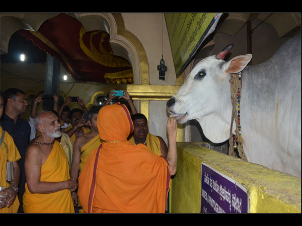 ಮಹಾಬಲೇಶ್ವರನ ಸೇವೆಗಾಗಿ ನಿಯುಕ್ತಿ