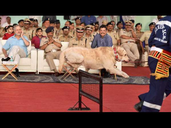 ಶ್ವಾನದ ಆಟವಲ್ಲ