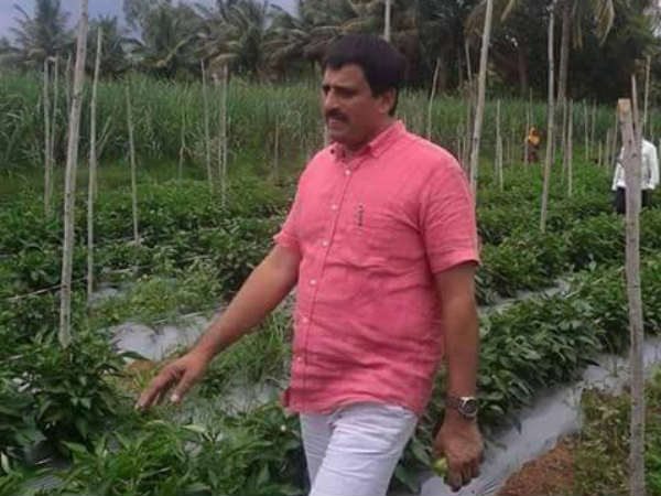 ಚನ್ನಪಟ್ಟಣ: ಯೋಗೇಶ್ವರ್ ವಿರುದ್ಧ ಅನಿತಾ ಸ್ಪರ್ಧೆ?