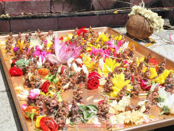 108 ಧನ್ವಂತರಿ ವಿಗ್ರಹಗಳ ಪ್ರತ್ಯೇಕ ಪೂಜೆ