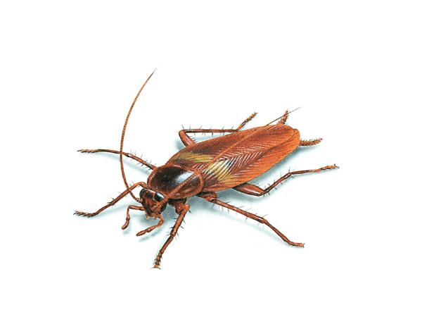 ಸಂಶೋಧನೆಯ ಭಂಡಾರ