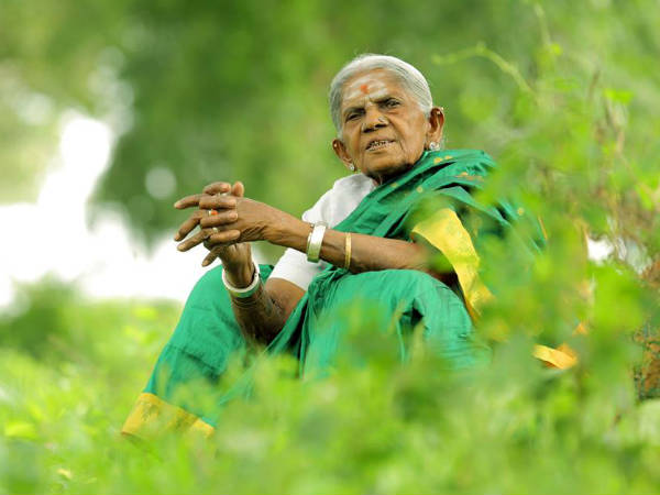 ಸಾಲು ಮರದ ತಿಮ್ಮಕ್ಕ ಉತ್ತಮ ಆಯ್ಕೆ