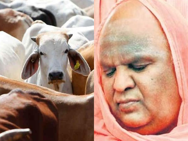 ಗೋ ವಿಚಾರದಲ್ಲಿ ಕೋಡಿಶ್ರೀಗಳ ಭವಿಷ್ಯ