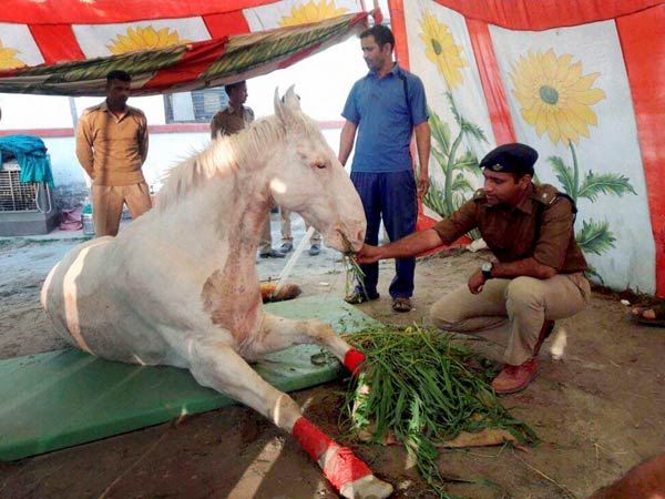 ಶಕ್ತಿಮಾನ್