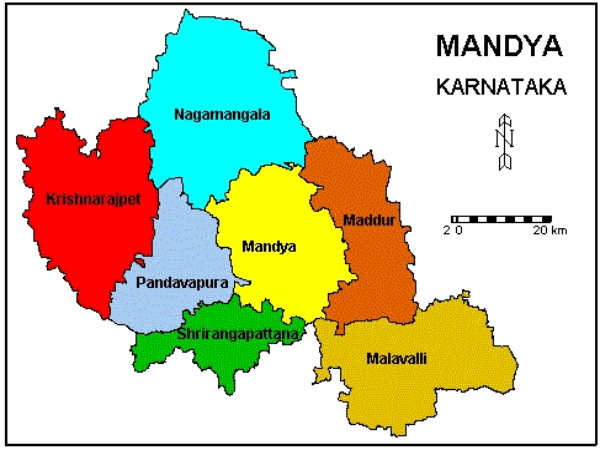 ಟಾಪ್ 24- 35