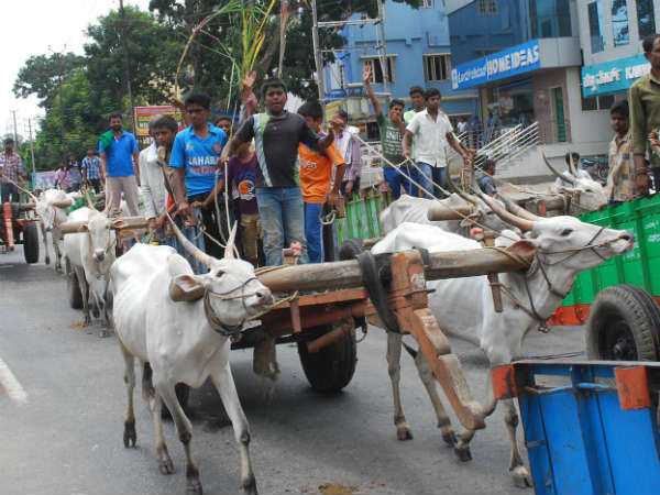 ಗ್ರಾಮಸ್ಥರಿಂದ ಎತ್ತಿನ ಗಾಡಿ ಮೆರವಣಿಗೆ