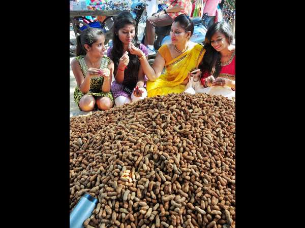 ಕಾರ್ತೀಕದ ಕಡ್ಲೇಕಾಯಿ ಪರಿಷೆ