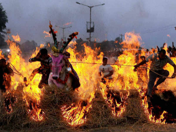ಸಂಕ್ರಾಂತಿ ಕಿಚ್ಚು
