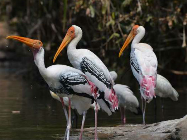 ವಾರದ ಎಲ್ಲ ದಿನ ತೆರೆದಿರುತ್ತದೆ
