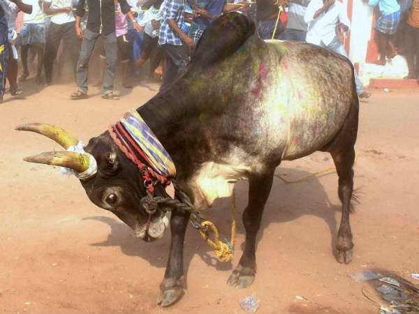 ಪ್ರಾದೇಶಿಕ ಸಂಸ್ಕೃತಿಯ ಅವನತಿ