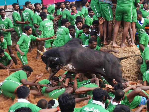 ಲಾಭಾಂಶಕ್ಕೆ ಮಾತ್ರ ಮಹತ್ವ ಏತಕ್ಕೆ ಕೊಡಬೇಕು?