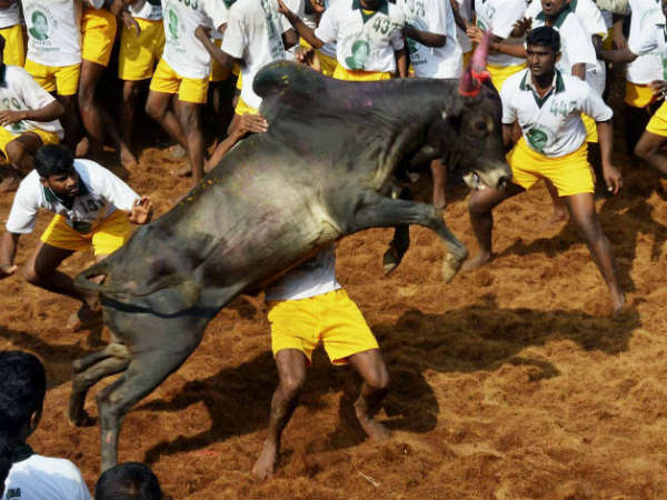 ಜೈವಿಕ ವೈವಿಧ್ಯ ಕಾಪಾಡಿಕೊಳ್ಳಲು ಹೋರಾಟ