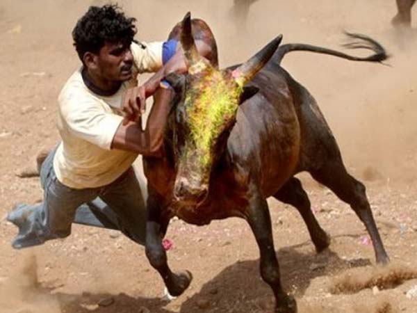 ಶೌರ್ಯ ಮತ್ತು ಉತ್ಸಾಹವನ್ನು ಕುದುರಿಸುತ್ತದೆ