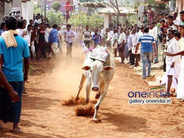 ಸಮಾಜವಿರೋಧಿ ಗುಂಪುಗಳ ಬಗ್ಗೆ ಎಚ್ಚರ ವಹಿಸಿ