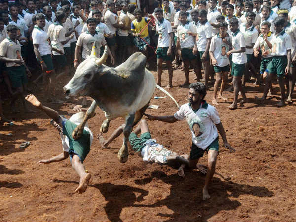 ಒಲಿಂಪಿಕ್ ದಾಖಲೆಗಿಂತ ವೇಗ!