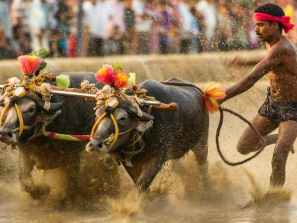 ವಿವೇಕ, ಸಹನೆ, ನಿಷ್ಠೆ ಮತ್ತು ದೂರದೃಷ್ಟಿ