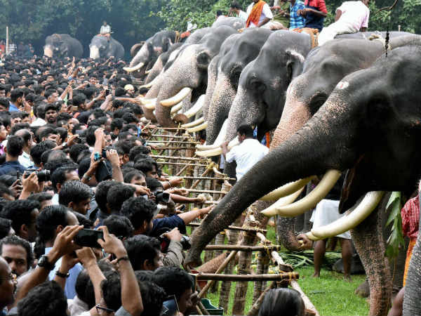 500 ಕೋಟಿ ರುಪಾಯಿಯಷ್ಟು ವ್ಯವಹಾರ