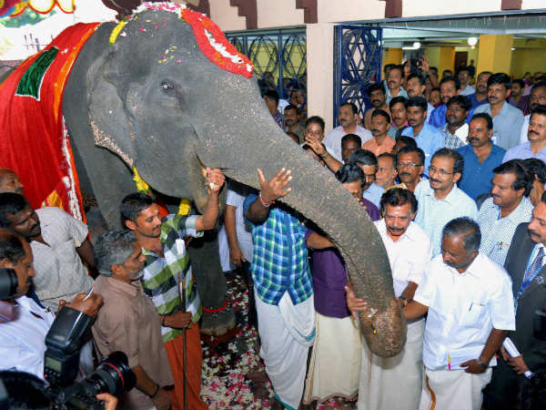 ಆನೆಗಳನ್ನು ಸಾಕುವ ರೀತಿ ಬದಲಾಗಬೇಕು