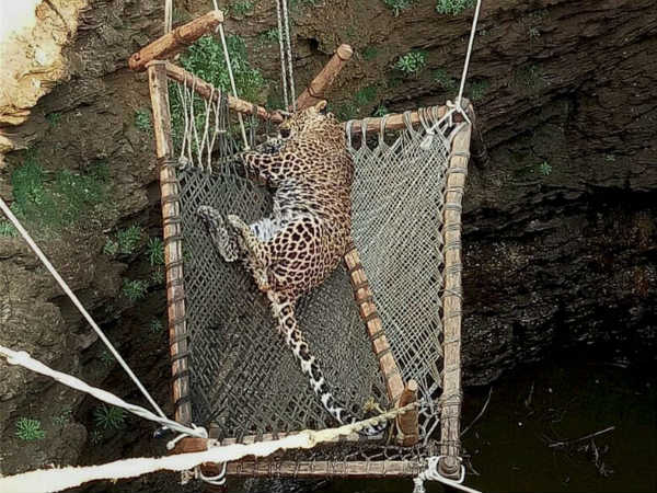 ಆದರೂ ಗ್ರಾಮಸ್ಥರಲ್ಲಿ ಆತಂಕ