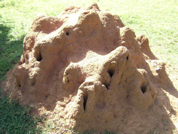 ಹುತ್ತದ ಮಣ್ಣಿನಲ್ಲಿ ಮಾಡಿದ ಲಿಂಗವೇ ಶ್ರೇಷ್ಠ