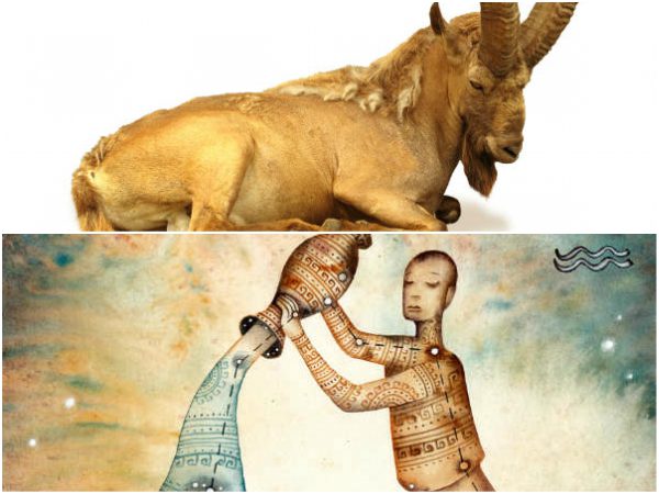 ಮಕರ-ಕುಂಭ