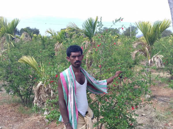 ನೀರು ಹಾಗೂ ಮೇವಿನ ಲಭ್ಯತೆ ಅಂಕಿ-ಅಂಶ ಸಂಗ್ರಹ