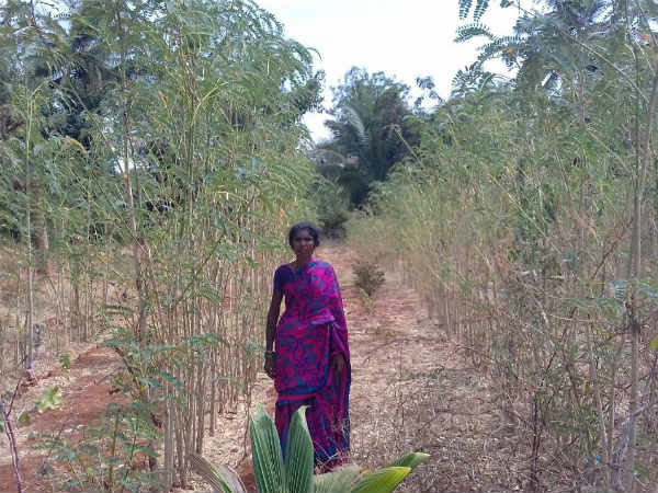 ಬರ ಘೋಷಣೆ ಮಾನದಂಡ ಬದಲಾಗಲಿ