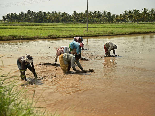 ಪ್ರಧಾನ ಮಂತ್ರಿ ಫಸಲ್ ಬಿಮಾ ಯೋಜನೆ