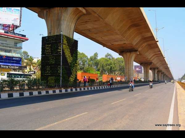 ರಾಸಾಯನಿಕ ಮುಕ್ತ