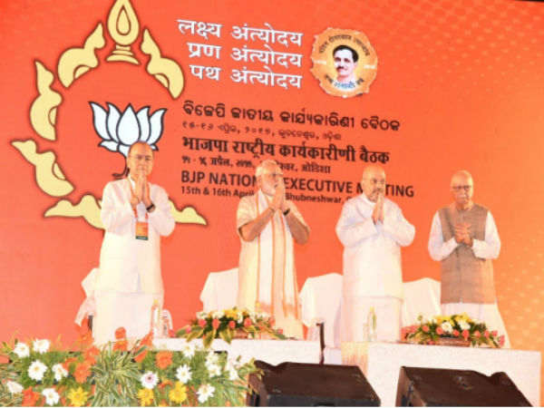 ರಾಷ್ಟ್ರೀಯ ಕಾರ್ಯಕಾರಿಣಿ