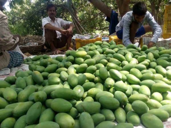 ಸ್ಥಳೀಯ ರೈತರಿಗೆ ಮೊದಲ ಆದ್ಯತೆ