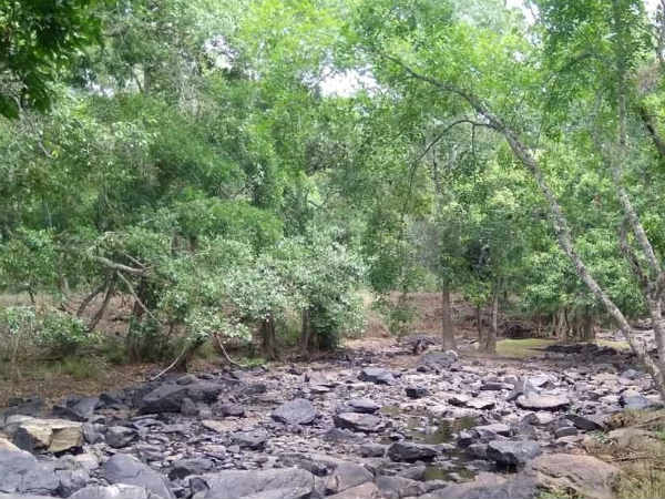 ದಿನಬಳಕೆಗೂ ನೀರಿಲ್ಲ